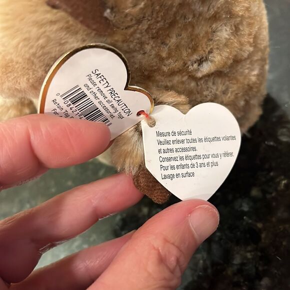 TY Beanie Baby 6" IDA Hedgehog Plush Stuffed Animal MWMT & Heart Protector MINT - Picture 9 of 11